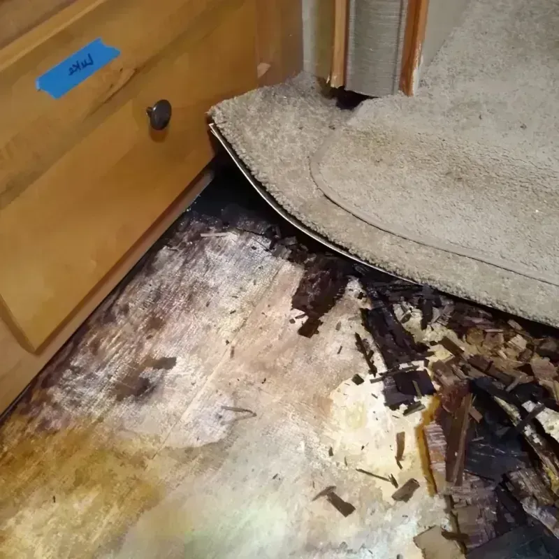 Wood Floor Water Damage in Cambria, CA